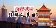 性感黑丝高跟白领强上乱轮双飞3P中国陕西-西安城墙旅游风景区