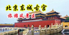 专业操老外咪咪爱中国北京-东城古宫旅游风景区
